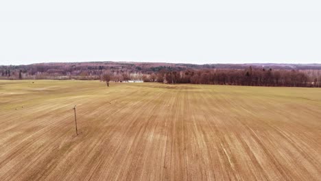 Vasto-Campo-De-Cultivo-Rodeado-De-Espesos-Bosques-Durante-El-Día-En-El-Pueblo-De-Buszkowy-Gone