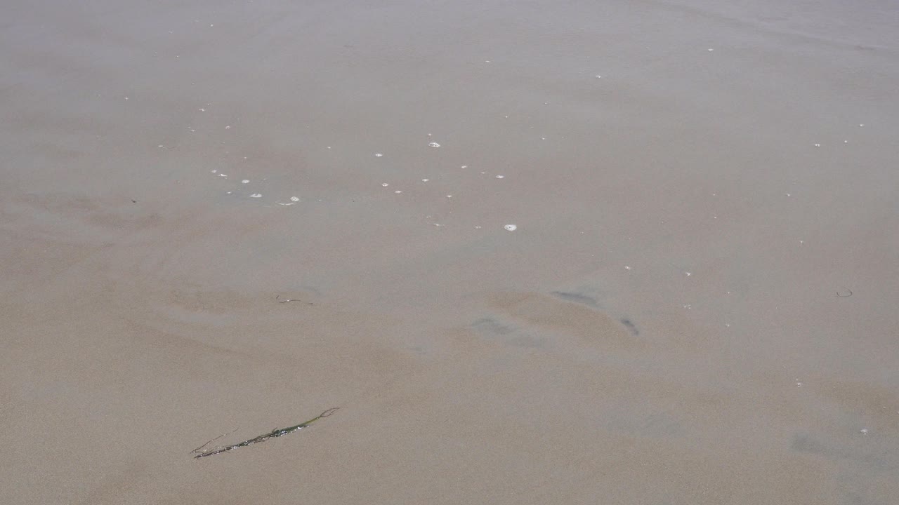 가까운 모래와 바물