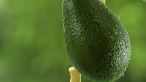 aguacate con rebanadas cayendo en el fondo del jardín