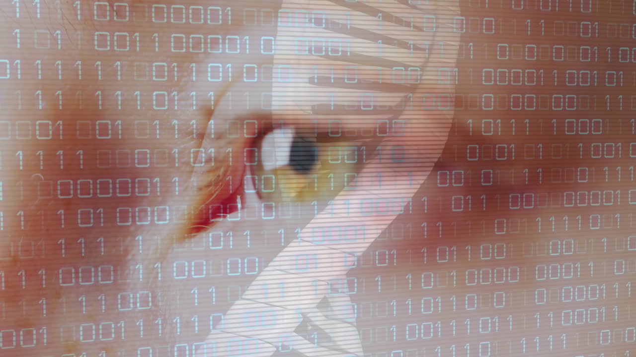 이진 코딩과 눈 위의 dna  ⁇ 의 애니메이션