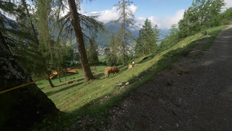 beautiful landscape in interlaken 4k