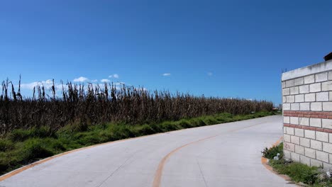 Dolly-in-slow-motion-of-a-road-with-a-dry-corn-field-on-the-side-of-Almoloya,-State-of-Mexico-on-a-sunny-day