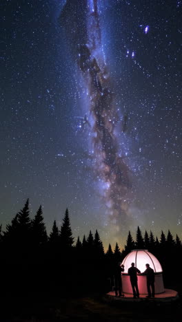 night sky observation in a forest with milky way