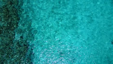 resplandeciente mar tropical en un día soleado