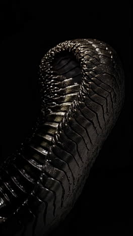 mysterious serpent skin texture