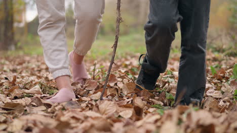 close-up of feet walking through dry autumn leaves in a peaceful outdoor setting, capturing movement, connection with nature, and the sound of crunching foliage underfoot during an autumn stroll