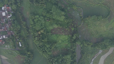 aerial top down view of indonesian rural landscape