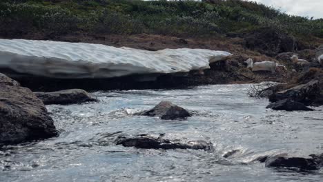 arroyo de montaña de nieve derretida en jamtlandstriangeln en el condado de jamtland, suecia