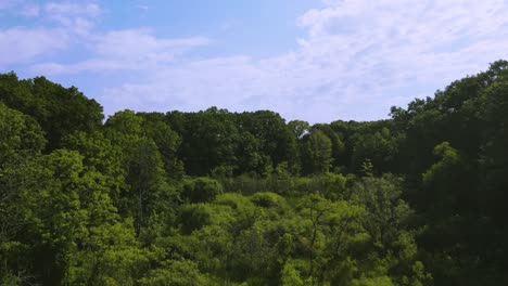 Steigende-Bewegung-über-Der-Ruddiman-Lagune