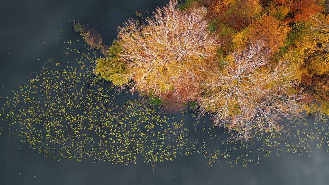 vista aérea del lago, río y bosque en otoño, polonia