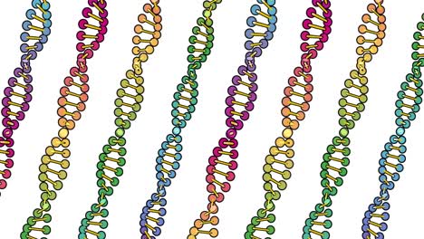 color visualization of dna analysis isolated on white background 3d rotation animation, for montage and medical training