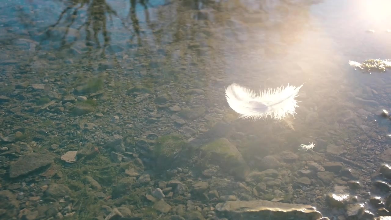 En gåsefjer, der flyder blidt på kanten af en krystalklar flod, hvor morgensolen skaber bløde lens flares på dens overflade