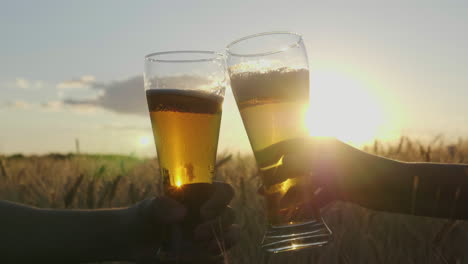 manos con vasos de cerveza tintinean vasos en el fondo de un campo de trigo