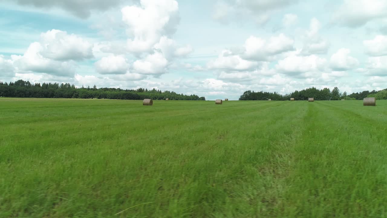 balas de heno en un campo verde