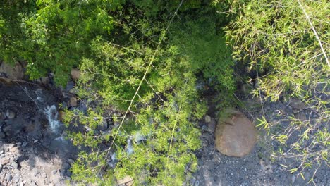 River,-nature,-green-jungle,-a-journey-through-the-Tropical-Forest-in-Risaralda,-Colombia