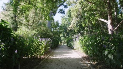 un paseo panorámico por un sendero del parque con hermosos alrededores verdes y exuberantes