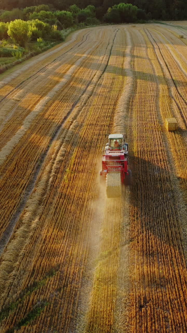 Aerial view on the field and tractor pressing hay. Agricultural machine is baling dried grass into square bale on the natural field background. Vertical video