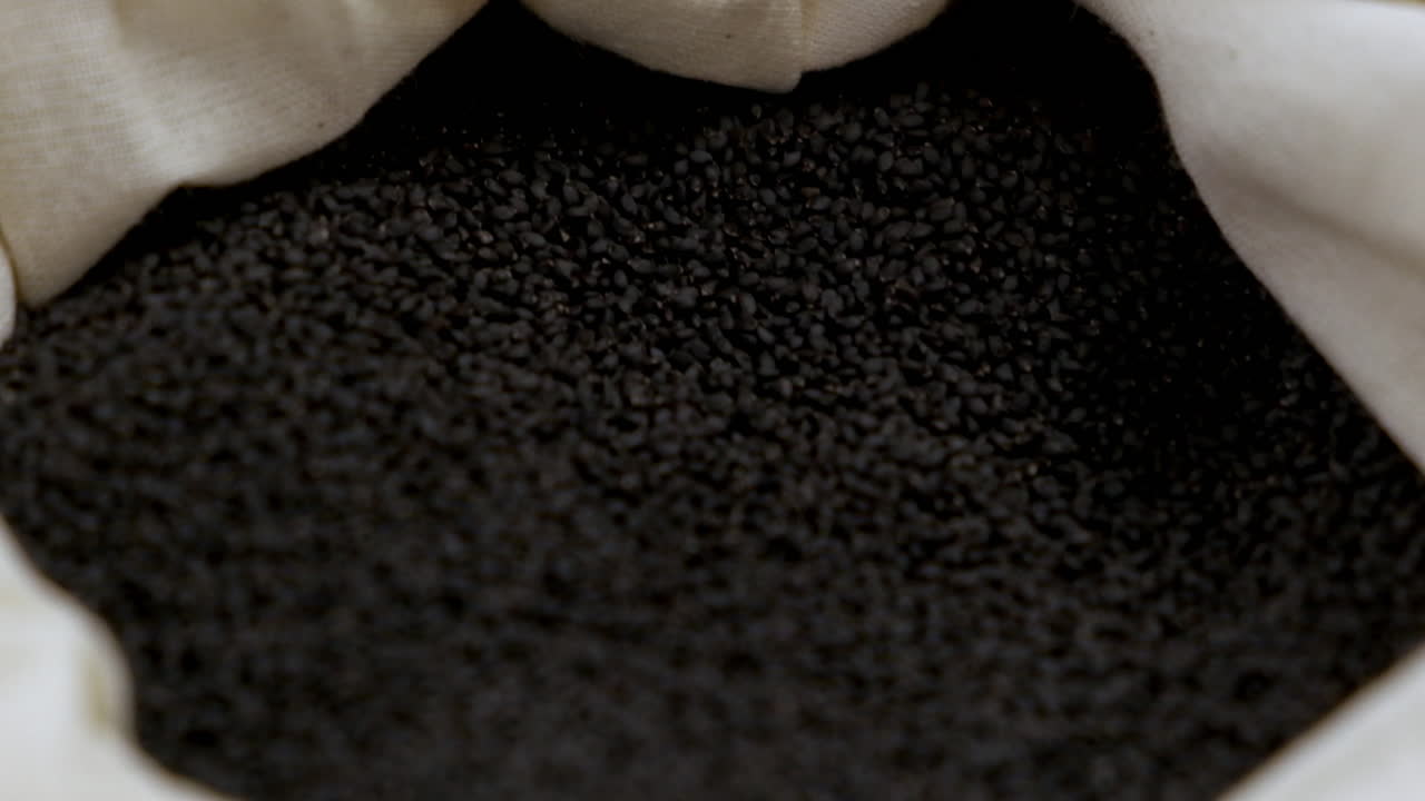 bolsa llena de semillas de albahaca negra, enfoque poco profundo de primer plano