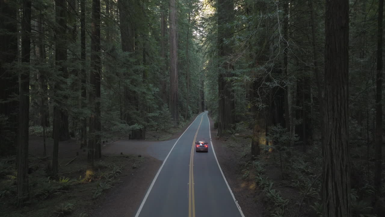 Ripresa aerea di un'auto che percorre la Avenue of the Giants, nella California settentrionale, attraverso l'Humboldt Redwoods State Park