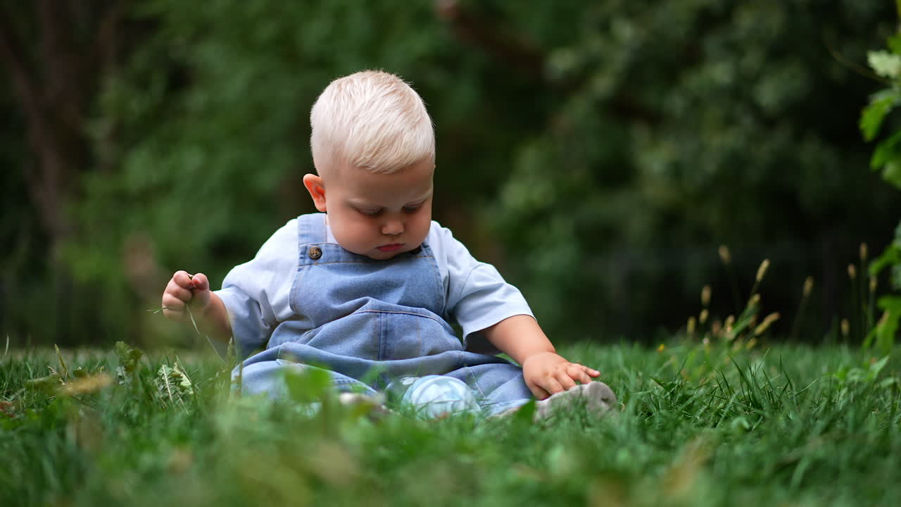 Focused cute baby boy in jeans romper sitting in the grass. Little kid picks some grass. Blurred backdrop.