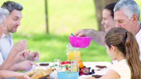 familia extendida almorzando juntos en el parque