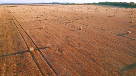 shooting from a quadcopter flying over the golden field with roll bales of wheat straw.