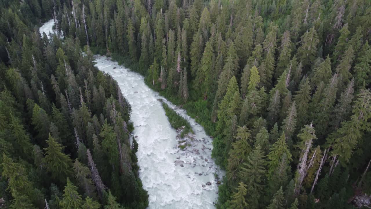 dron aéreo increíble agua blanca río soo con pinos y cordillera del pacífico canadá 4k