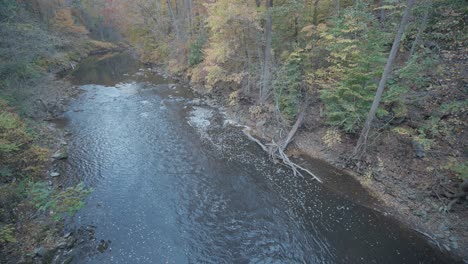 Bäume-Entlang-Des-Wissahickon-Creek-Im-Herbst