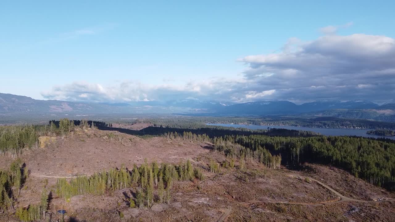Vista aerea della foresta disboscata di Port Alberni, Isola di Vancouver, Canada.
