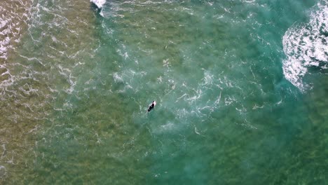 A-surfer-paddling-towards-the-waves-on-a-beach-in-Algarve,-Portugal