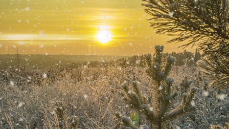 nieve cayendo naturaleza bosque árboles paisaje en blanco soleado día de invierno estado de ánimo. luz y brillante nieve tiempo frío, circuito de video, circuito de vídeo cinemagraph