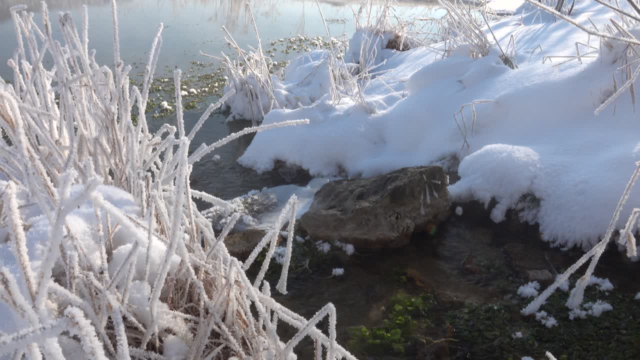 Frosted rør og snødekt elvebredd på en solrik vinterdag