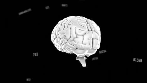 animation of numbers changing with human brain spinning