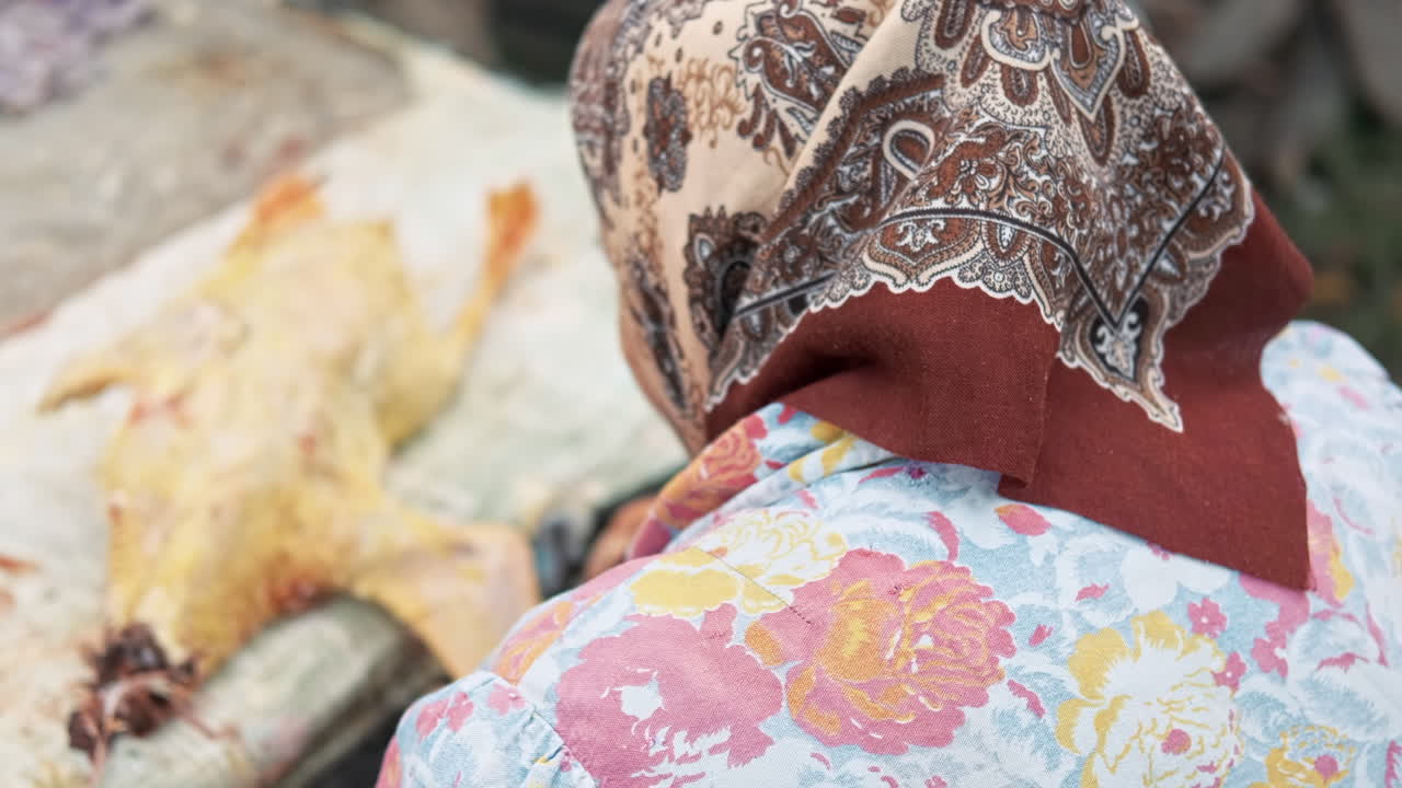 A grandma plucking a dead duck. Village