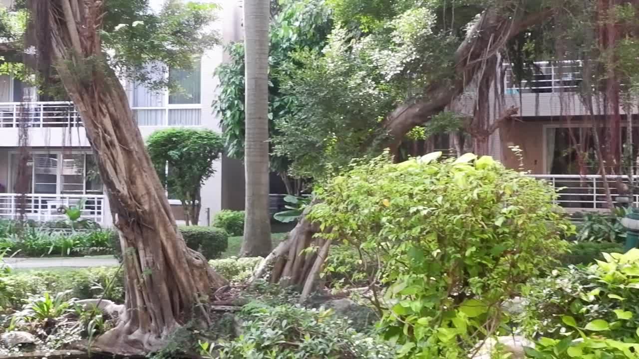 A vibrant garden scene featuring a large tree, lush foliage, and a modern building backdrop.