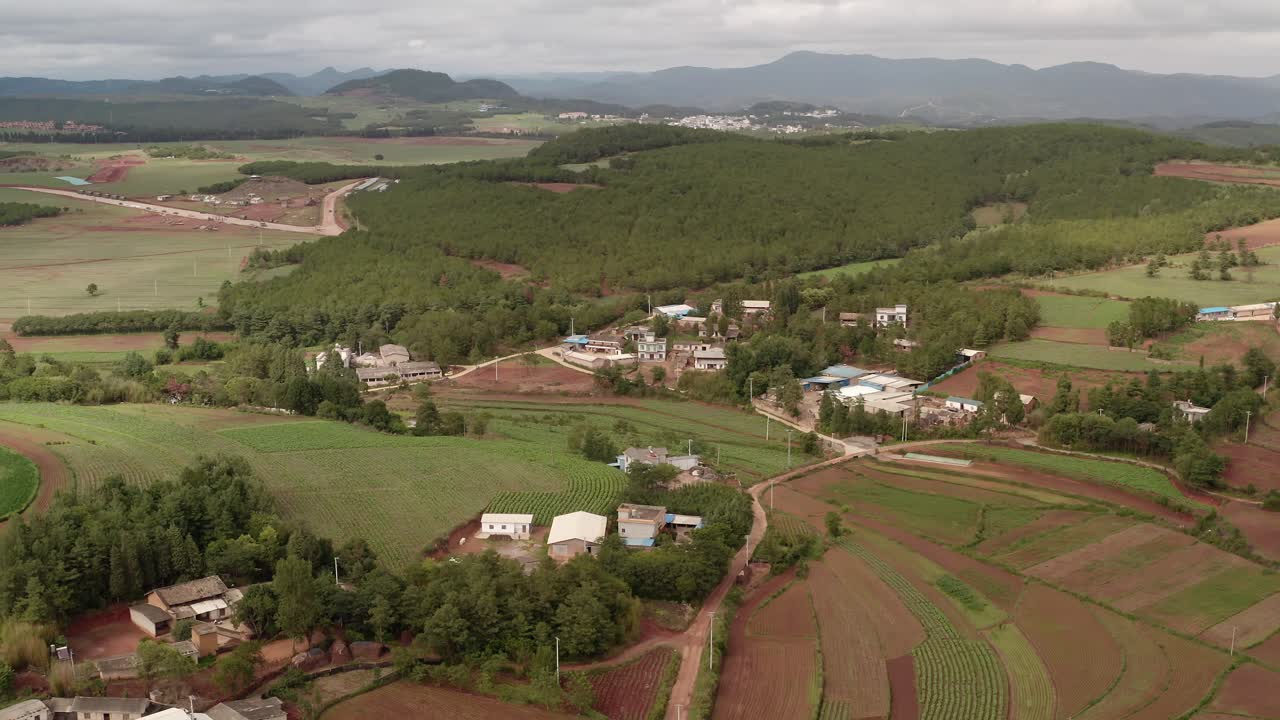 hierba y árboles en xundian, yunnan, china.