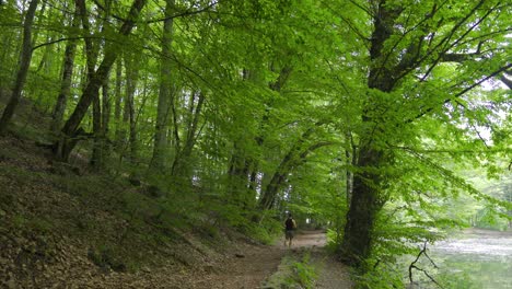 running among the trees and greenery.