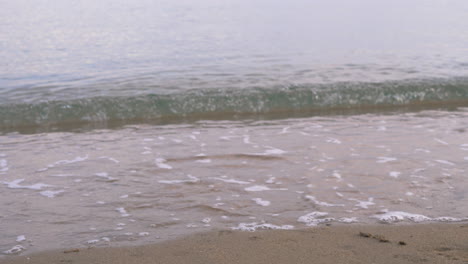 Streunende-Katze-Macht-Ihre-Pfoten-Nass,-Während-Meereswellen-Am-Strand-Rollen