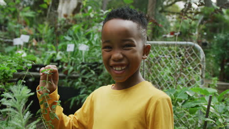 Porträt-Eines-Glücklichen-Afroamerikanischen-Jungen,-Der-Pflanzen-Betrachtet-Und-Im-Garten-Lächelt