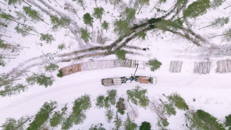 Grapple-log-loader-loads-harvested-logs-on-trailer,-snowy-winter-top-down-drone