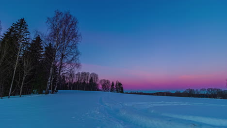 Cielo-De-Color-Púrpura-Mágico-Sobre-Pradera-Cubierta-De-Nieve-Boscosa,-Lapso-De-Tiempo