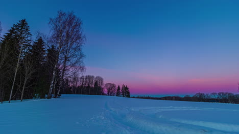 cielo de color púrpura mágico sobre pradera cubierta de nieve boscosa, lapso de tiempo