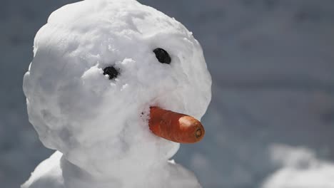 snowman with carrot nose