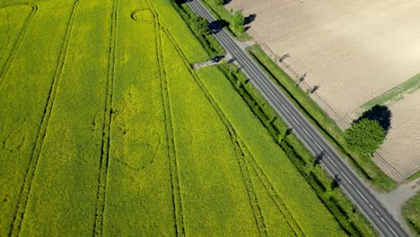 Carretera-Entre-Tierras-De-Cultivo-Con-Coches-Circulando-Por-Ella,-Campos-De-Colza-Y-Campos-De-Patatas.