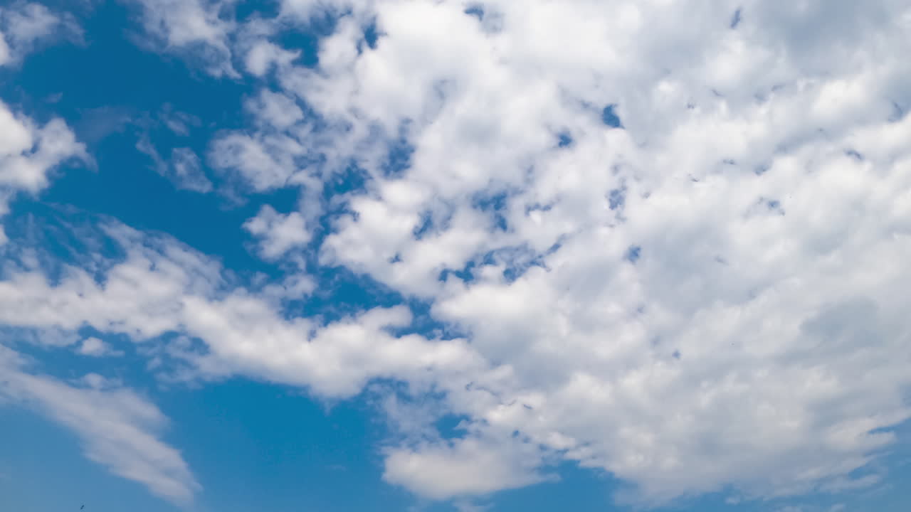 Cirro-cumulus white clouds in the summer sky. White cloudscape spreading by the horizon. Timelapse.