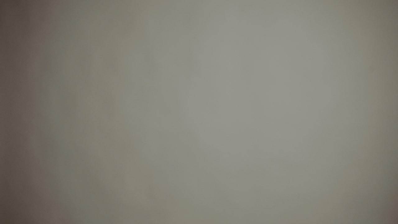 Beauty Portrait. Hairstyle. Portrait of a beautiful girl with colored hair, professional hair coloring