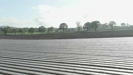 Solarización-Del-Suelo---Lona-De-Plástico-Transparente-Sobre-El-Campo-Para-El-Control-De-Plagas