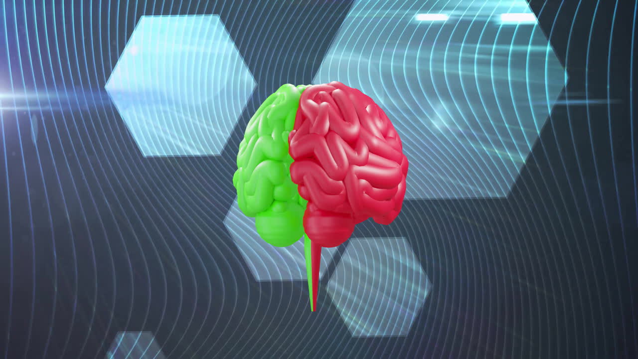 Animation of shapes moving over spinning brain