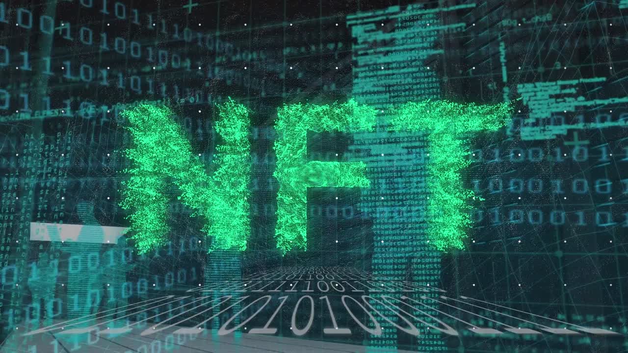 Animation of nft over data processing, binary code, human silhouette in black space