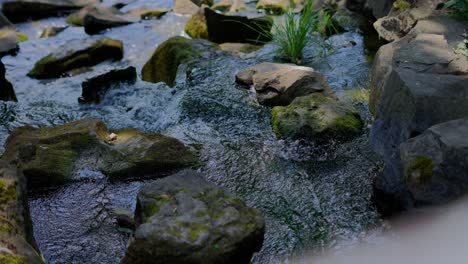 Cinematic-shot-of-Waterfall-Stream-in-Türkenschanzpark-in-Vienna-during-a-sunny-day